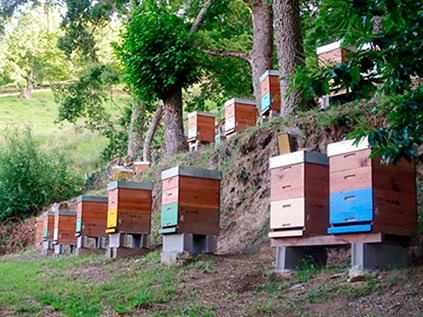 panales-ecologicos